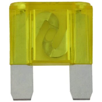 20 Amp Maxi Fuse